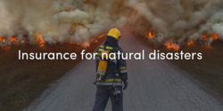 Insurance For Natural Disasters